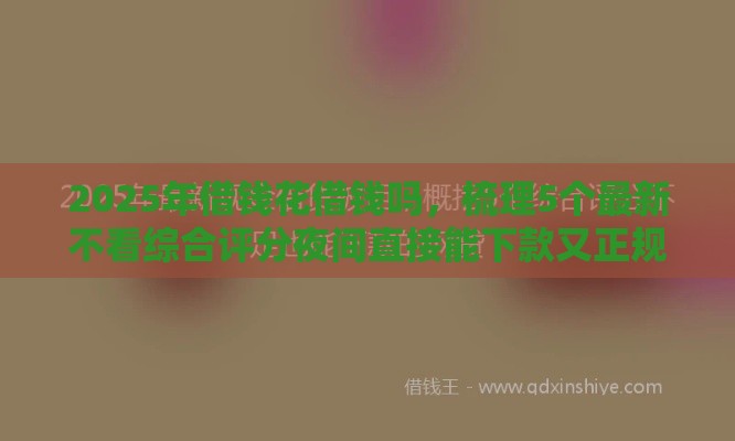 2025年借钱花借钱吗，梳理5个最新不看综合评分夜间直接能下款又正规的平台