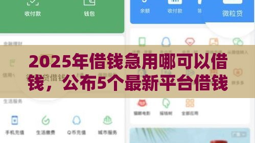 2025年借钱急用哪可以借钱，公布5个最新平台借钱