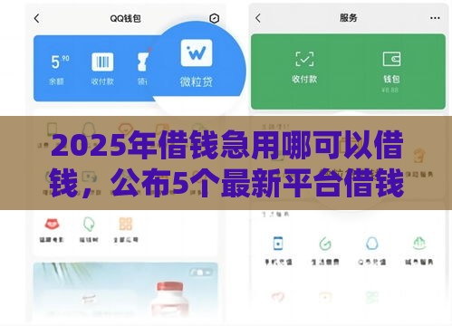 2025年借钱急用哪可以借钱，公布5个最新平台借钱