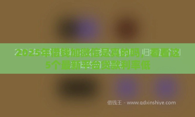 2025年借钱加微信是真的吗，看看这5个最新平台贷款利率低