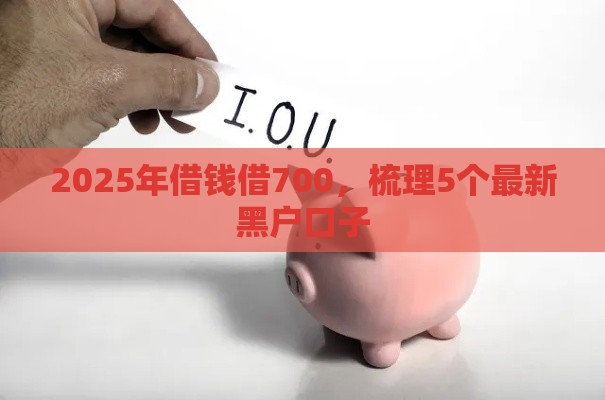 2025年借钱借700，梳理5个最新黑户口子