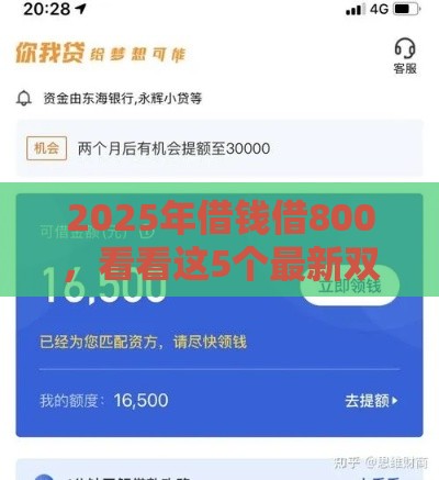 2025年借钱借800，看看这5个最新双黑户必下款的口子2025