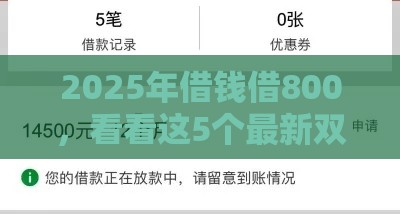 2025年借钱借800，看看这5个最新双黑户必下款的口子2025