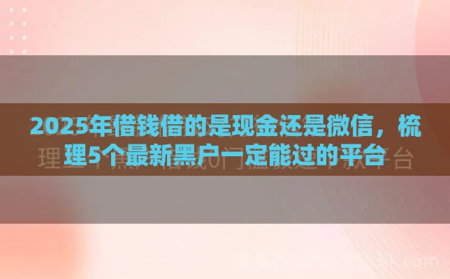 2025年借钱借的是现金还是微信，梳理5个最新黑户一定能过的平台
