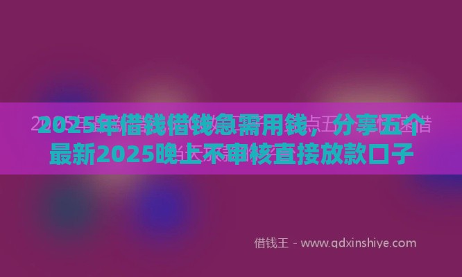 2025年借钱借钱急需用钱，分享五个最新2025晚上不审核直接放款口子