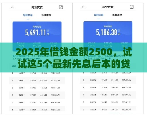 2025年借钱金额2500，试试这5个最新先息后本的贷款平台