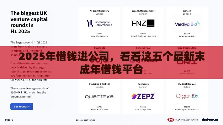 2025年借钱进公司，看看这五个最新末成年借钱平台