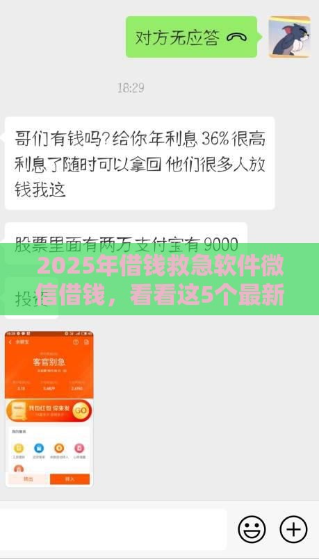 2025年借钱救急软件微信借钱，看看这5个最新网贷利率最低的平台