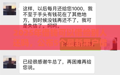 2025年借钱可以借给别人还吗，公布5个最新黑户借钱的平台