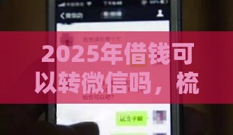 2025年借钱可以转微信吗，梳理5个最新网贷借款平台好贷