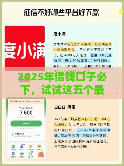 2025年借钱口子必下，试试这五个最新借钱容易的平台