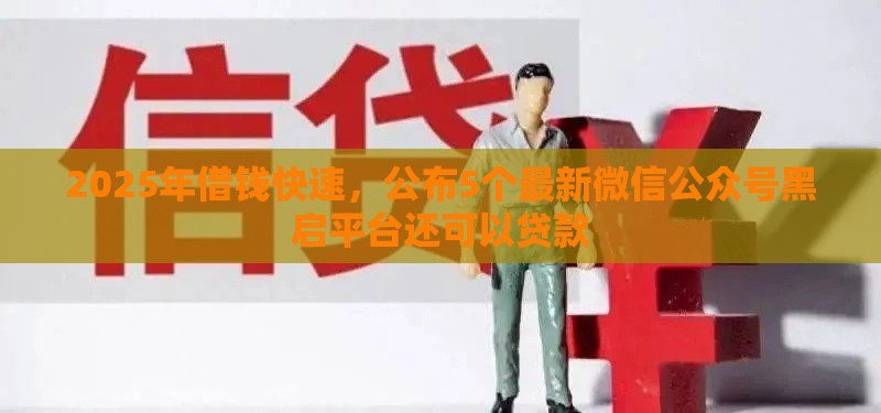 2025年借钱快速，公布5个最新微信公众号黑启平台还可以贷款