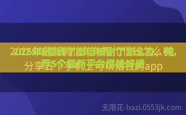 2025年借钱了微信被删了怎么办，推荐5个最新平台借钱好借