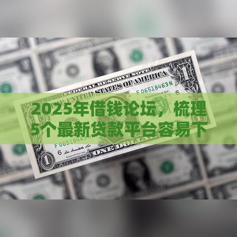 2025年借钱论坛，梳理5个最新贷款平台容易下款