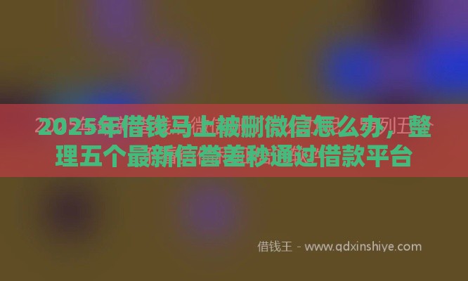 2025年借钱马上被删微信怎么办，整理五个最新信誉差秒通过借款平台
