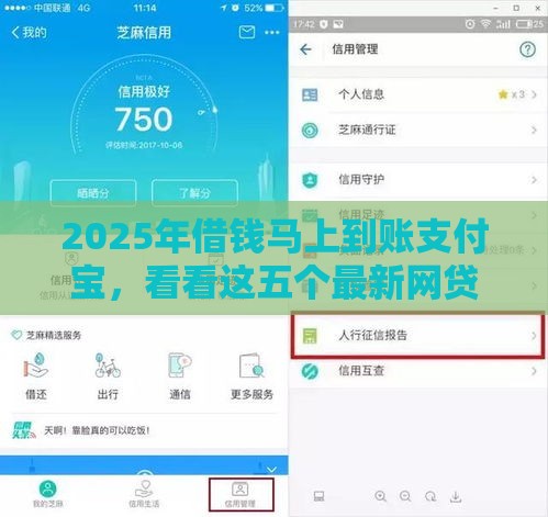 2025年借钱马上到账支付宝，看看这五个最新网贷平台举报