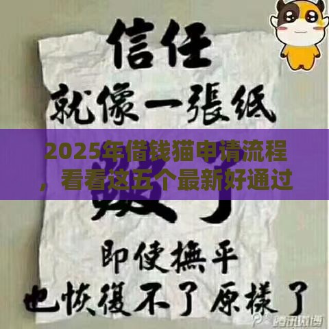 2025年借钱猫申请流程，看看这五个最新好通过的网贷平台