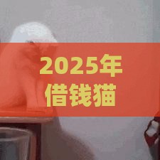 2025年借钱猫申请流程，看看这五个最新好通过的网贷平台