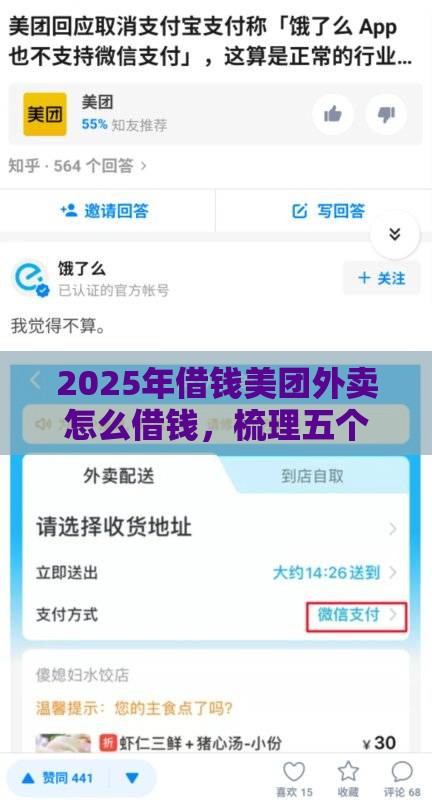 2025年借钱美团外卖怎么借钱，梳理五个最新平台能不查征信直接看出来借款额度