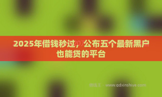 2025年借钱秒过，公布五个最新黑户也能贷的平台