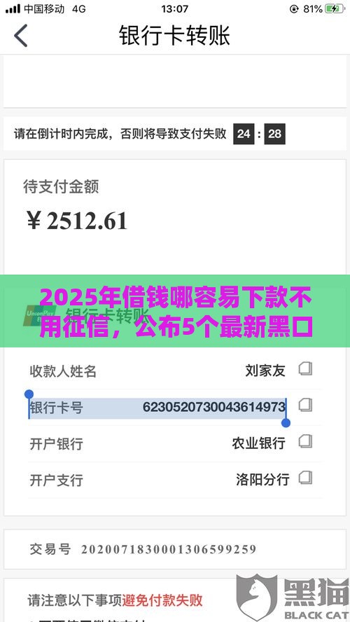 2025年借钱哪容易下款不用征信，公布5个最新黑口子秒下款2025
