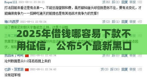 2025年借钱哪容易下款不用征信，公布5个最新黑口子秒下款2025