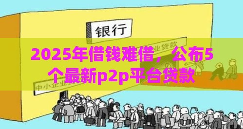 2025年借钱难借，公布5个最新p2p平台贷款