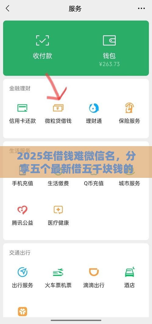 2025年借钱难微信名，分享五个最新借五千块钱的秒下的贷款平台