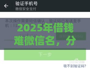 2025年借钱难微信名，分享五个最新借五千块钱的秒下的贷款平台
