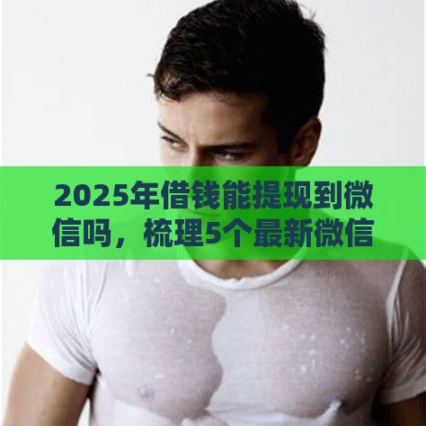 2025年借钱能提现到微信吗，梳理5个最新微信上正规借钱平台