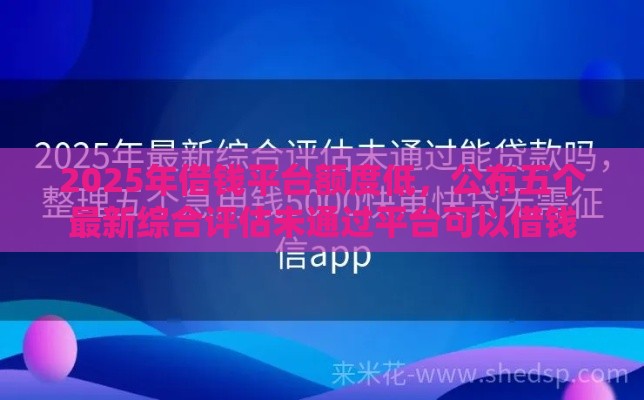 2025年借钱平台额度低，公布五个最新综合评估未通过平台可以借钱