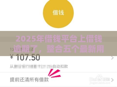2025年借钱平台上借钱逾期了，整合五个最新用微信贷款的平台