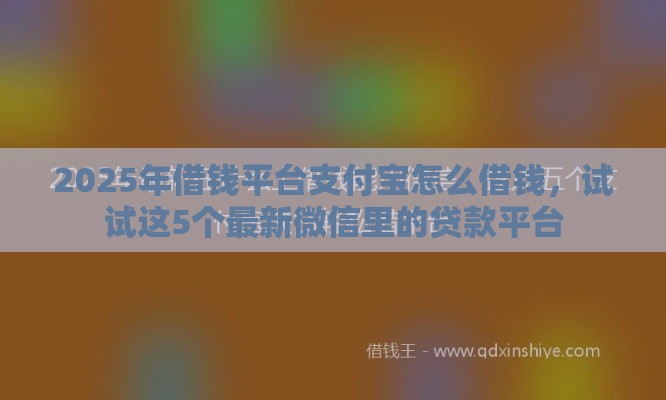 2025年借钱平台支付宝怎么借钱，试试这5个最新微信里的贷款平台