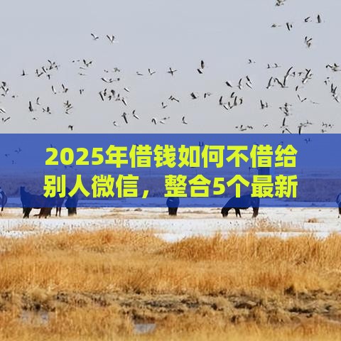 2025年借钱如何不借给别人微信，整合5个最新借款平台贷款好通过