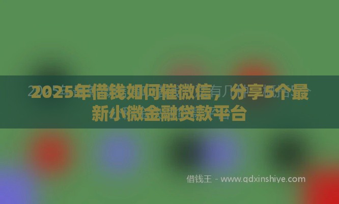 2025年借钱如何催微信，分享5个最新小微金融贷款平台