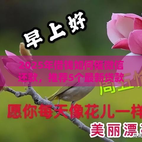 2025年借钱如何催微信还款，推荐5个最新贷款平台借钱容易又正规