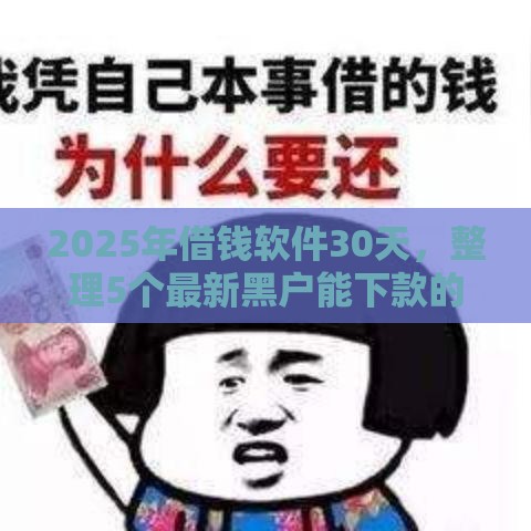 2025年借钱软件30天，整理5个最新黑户能下款的口子