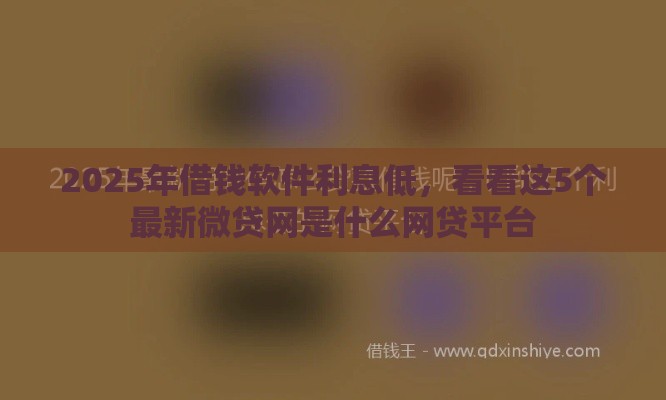 2025年借钱软件利息低，看看这5个最新微贷网是什么网贷平台
