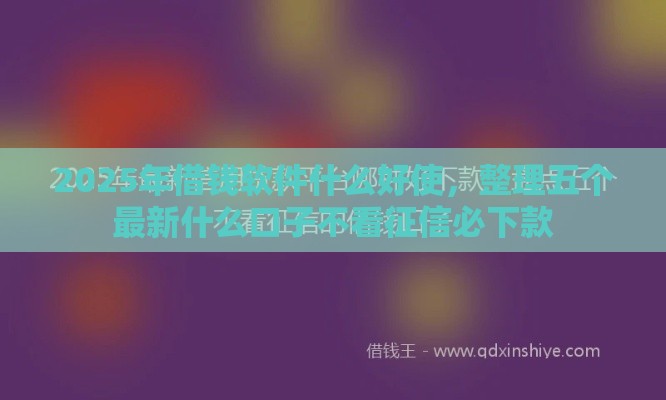 2025年借钱软件什么好使，整理五个最新什么口子不看征信必下款