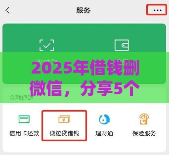 2025年借钱删微信，分享5个最新个体户贷款平台