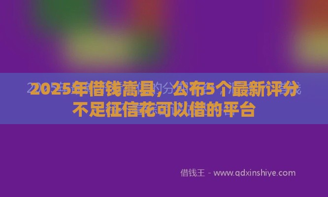 2025年借钱嵩县，公布5个最新评分不足征信花可以借的平台