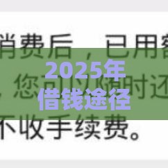 2025年借钱途径微信分付怎么办,整合5个最新平台贷款利息低 2025年借钱途径微信分付怎么办,整合5个最新平台贷款利息低