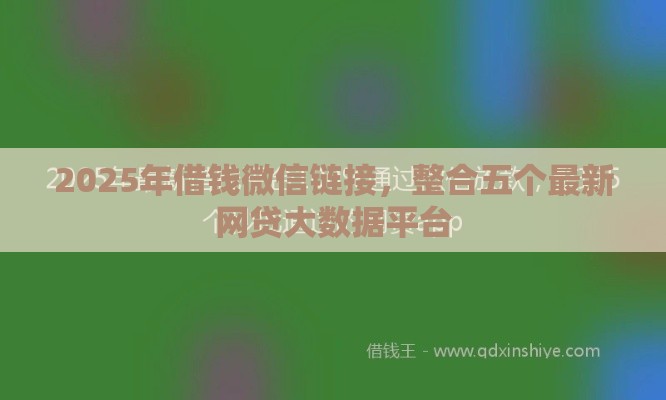 2025年借钱微信链接，整合五个最新网贷大数据平台