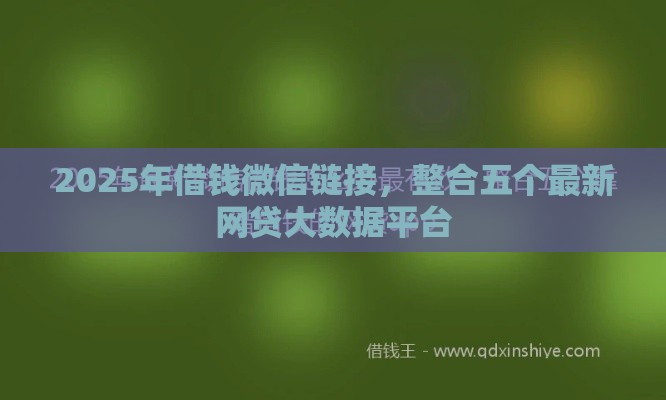 2025年借钱微信链接，整合五个最新网贷大数据平台