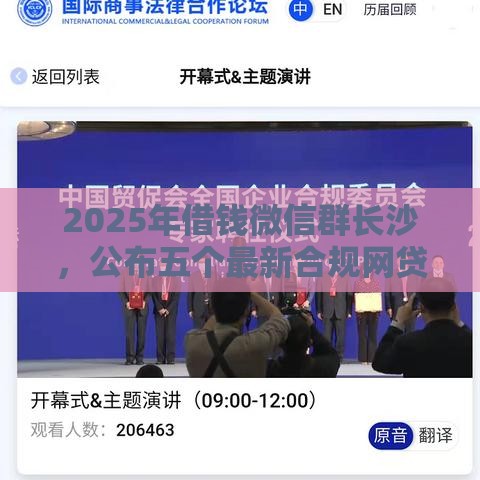2025年借钱微信群长沙，公布五个最新合规网贷平台