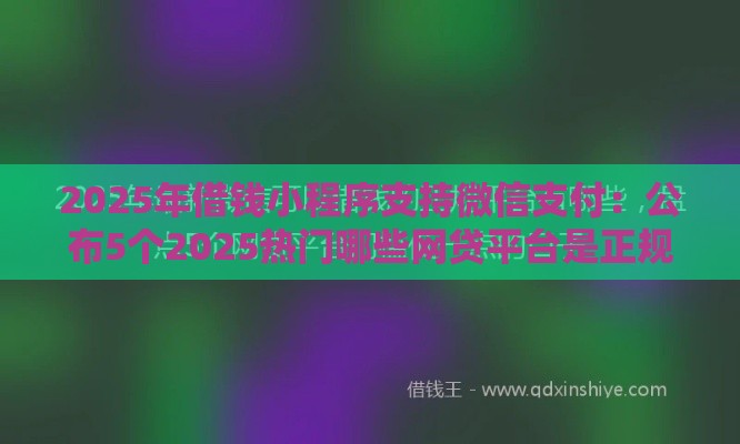 2025年借钱小程序支持微信支付：公布5个2025热门哪些网贷平台是正规的