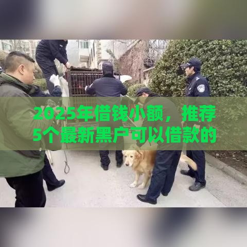 2025年借钱小额，推荐5个最新黑户可以借款的软件