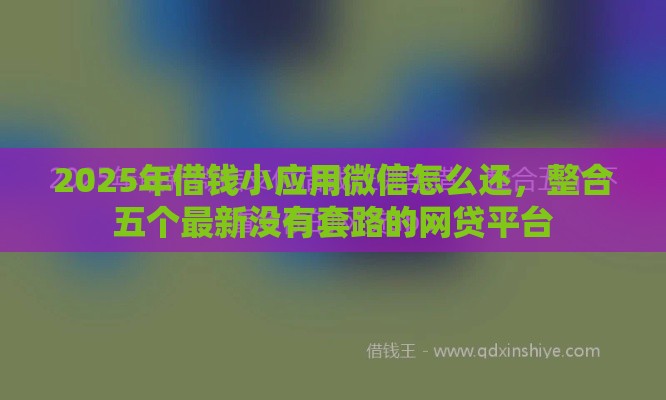 2025年借钱小应用微信怎么还，整合五个最新没有套路的网贷平台