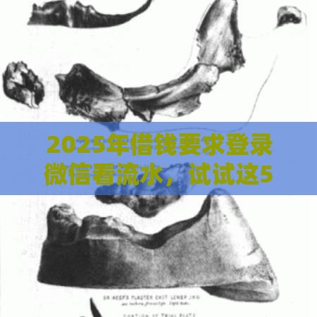 2025年借钱要求登录微信看流水，试试这5个最新贷款平台好通过