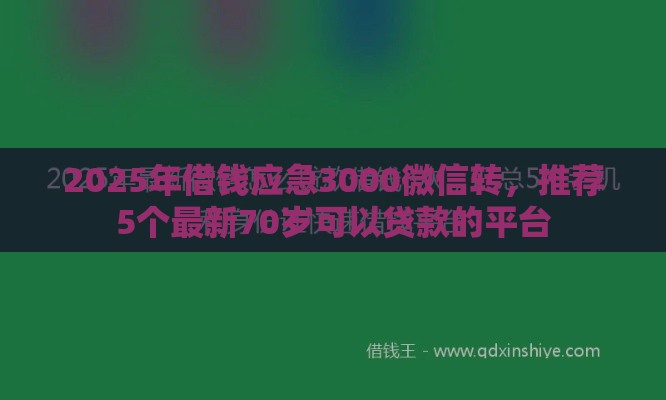 2025年借钱应急3000微信转,推荐5个最新70岁可以贷款的平台 2025年借钱应急3000微信转,推荐5个最新70岁可以贷款的平台